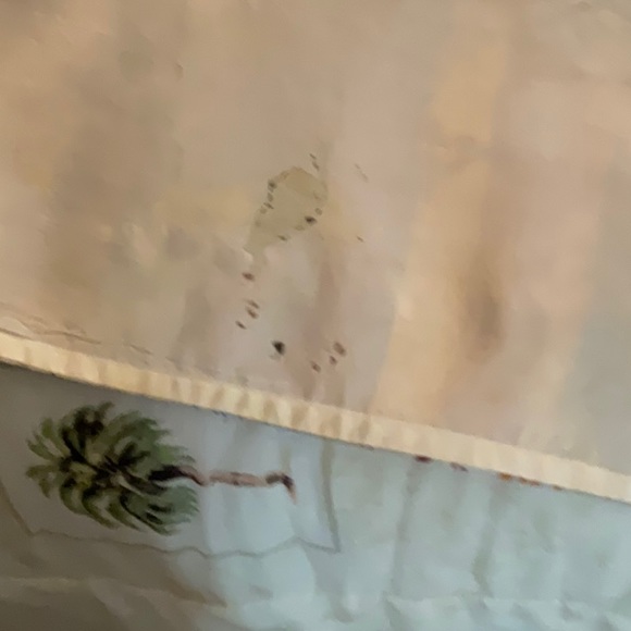 Chinese Sea Dragon long cost - Picture 10 of 11